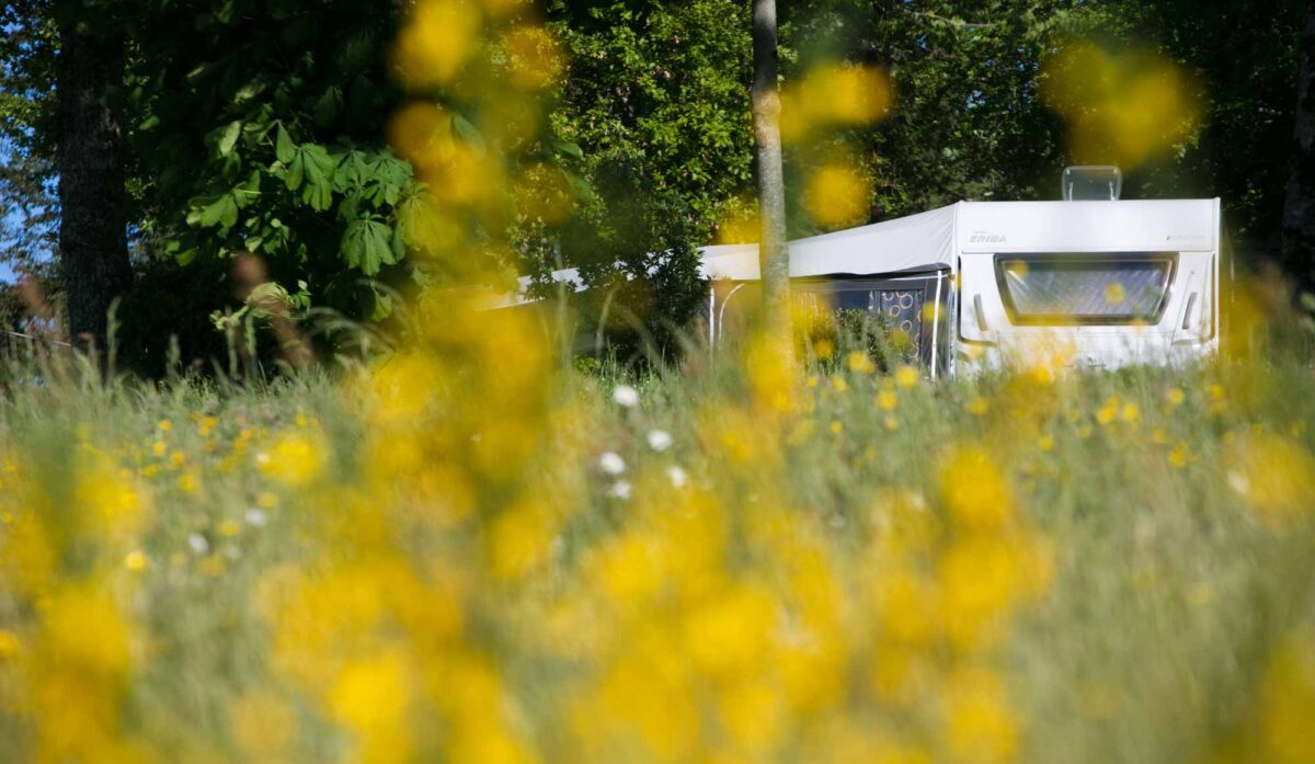 photographe-camping-2018-0110