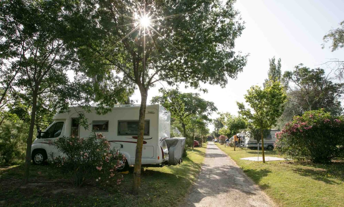 photographe-camping-2019-0135