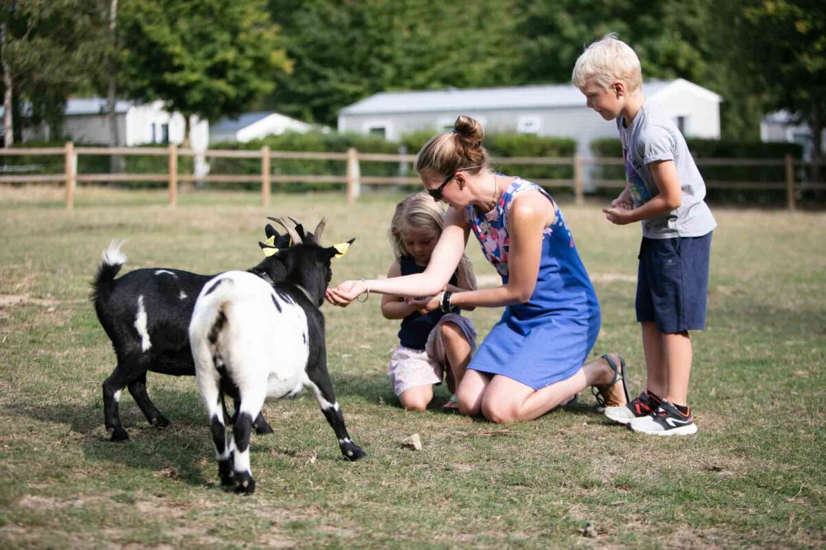 photographe-camping-2019-0151