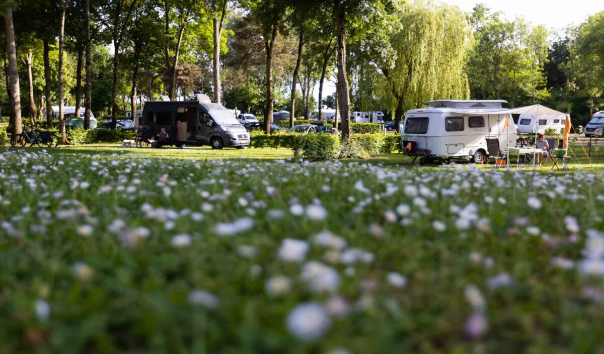 photographe-camping-2022-0175