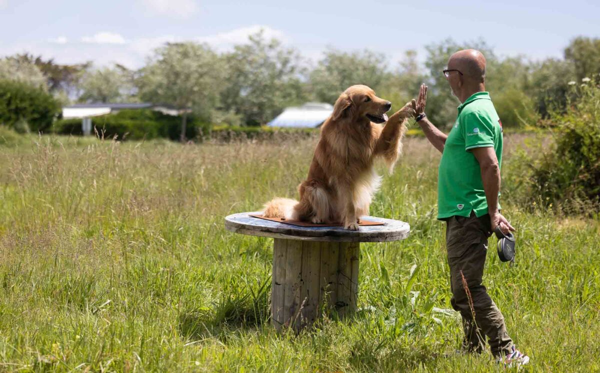 photographe-camping-2024-0307