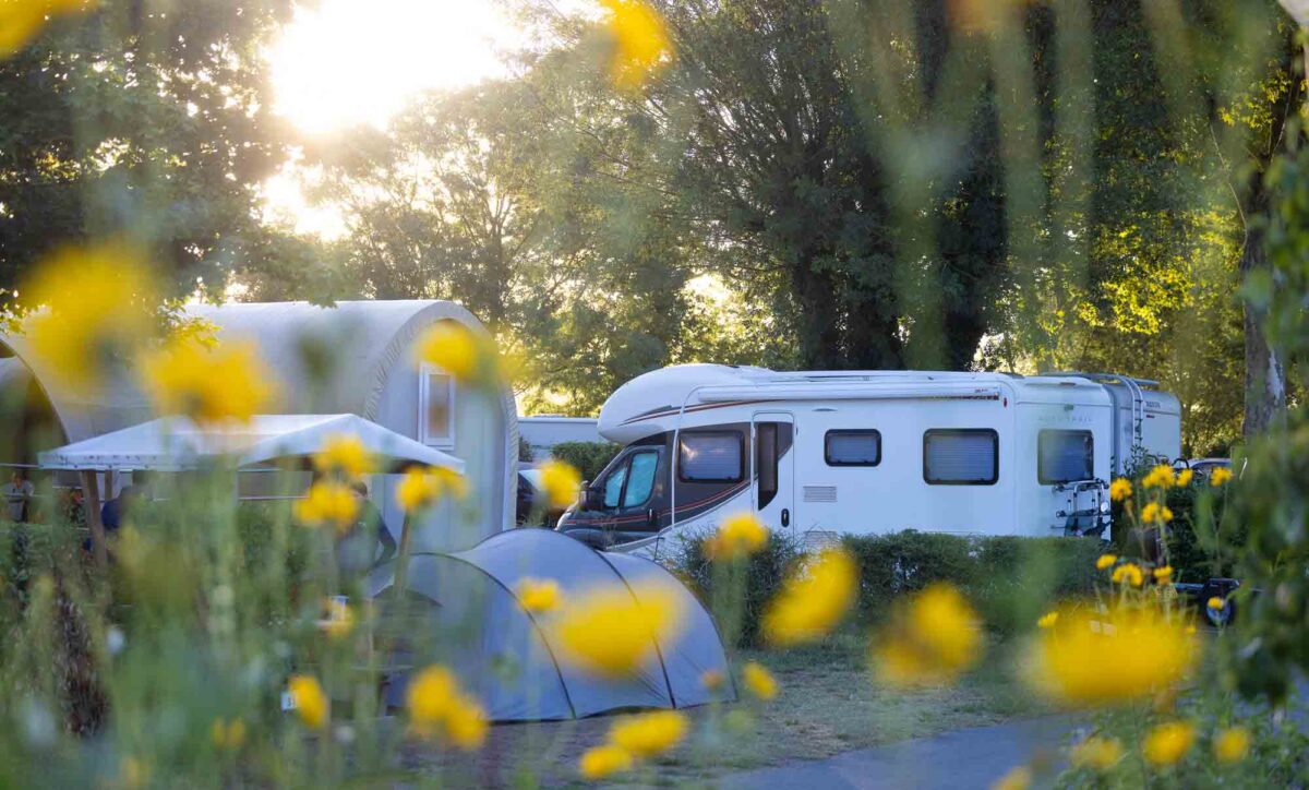 photographe-camping-2024-0377